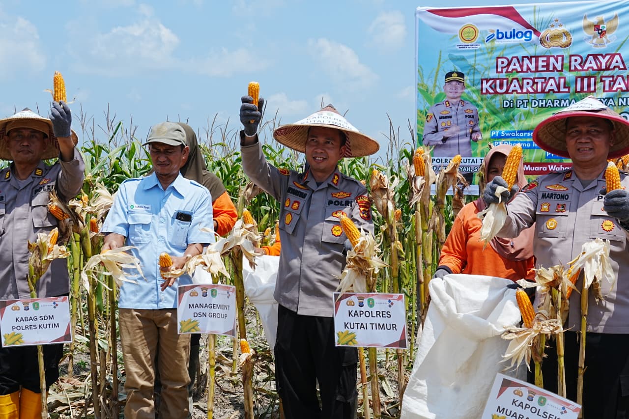Kapolres Kutai Timur AKBP Aryansyah Panen Raya Jagung Muara Wahau