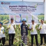 Pimpinan Pondok Pesantren Segoro Agung bersama jajaran PT Pupuk Indonesia menunjukkan hasil panen jagung manis di lahan pertanian Ponpes Segoro Agung, Mojokerto, Jawa Timur, Selasa (29/9/2026).