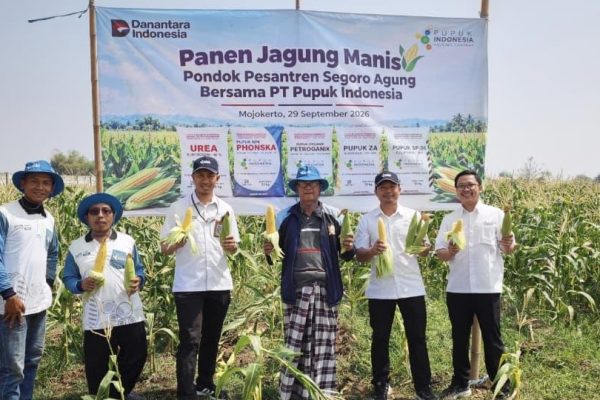 Pimpinan Pondok Pesantren Segoro Agung bersama jajaran PT Pupuk Indonesia menunjukkan hasil panen jagung manis di lahan pertanian Ponpes Segoro Agung, Mojokerto, Jawa Timur, Selasa (29/9/2026).